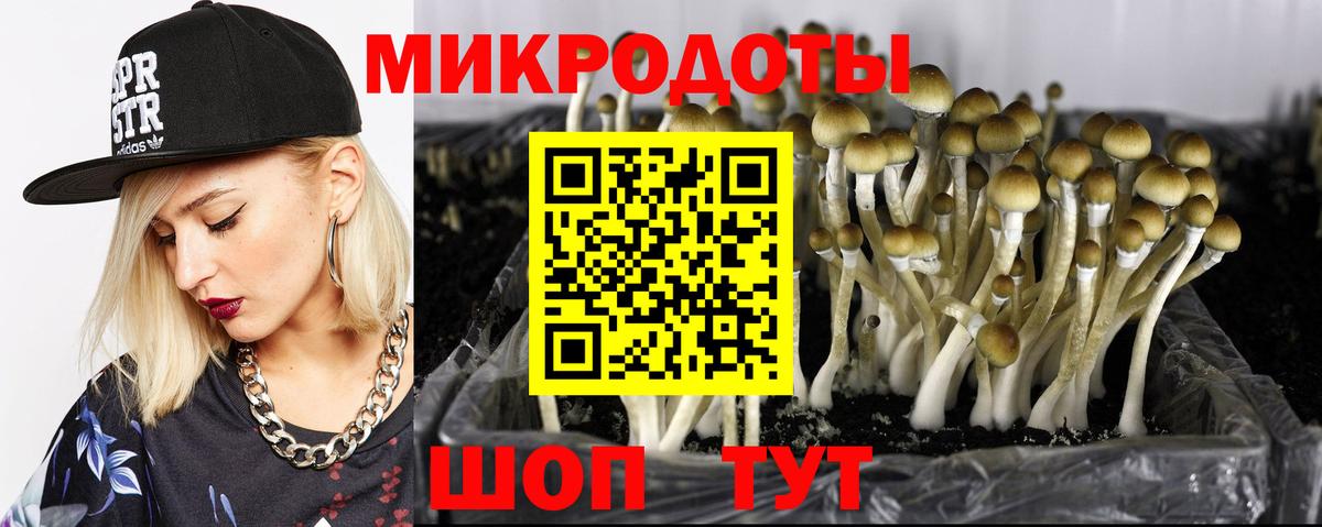 Ступино  Галлюциногенные грибы Magic Shrooms  Вход с VPN 