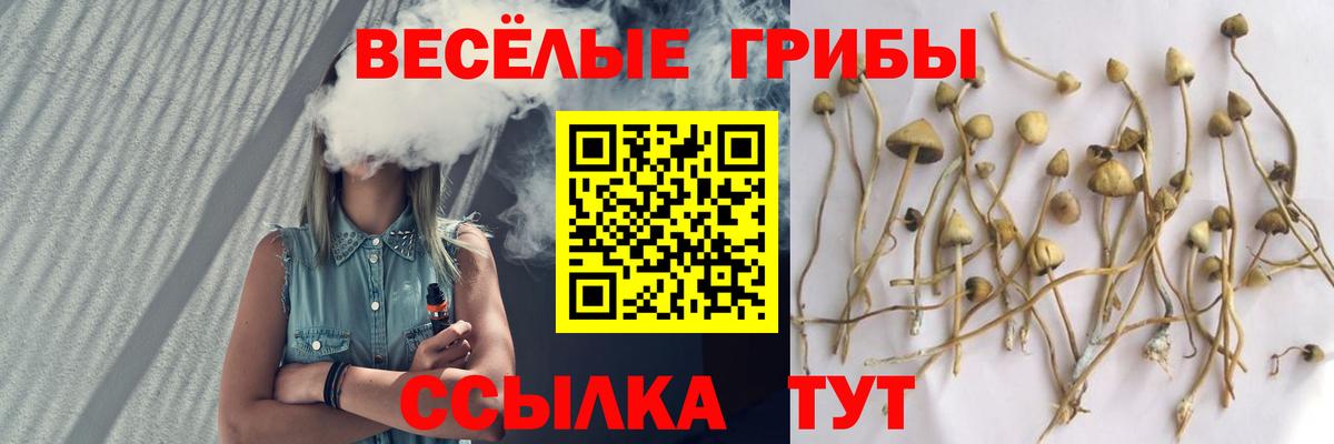 Галлюциногенные грибы мухоморы Ступино